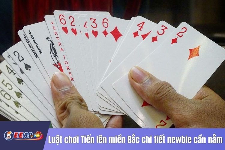 Luật chơi Tiến lên miền Bắc chi tiết newbie cần nắm