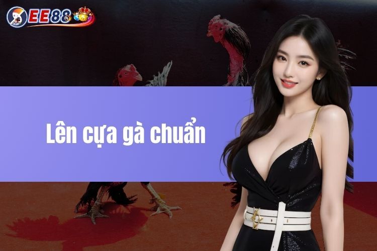 Lên cựa gà chuẩn - Sở hữu cơ hội thắng trong tầm tay