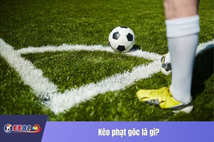 Kèo phạt góc là gì?