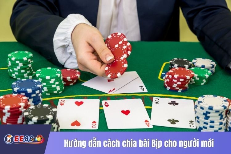 Hướng dẫn cách chia bài Bịp cho người mới